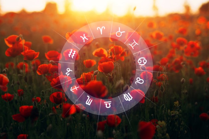 fiori segni zodiacali, fiore segno zodiacale