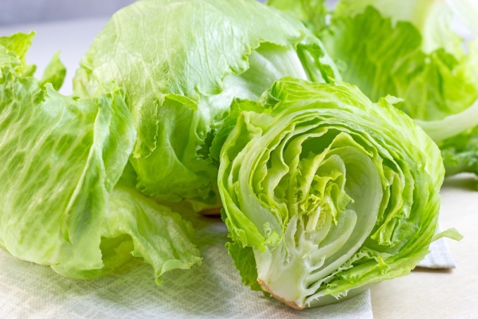Lattuga