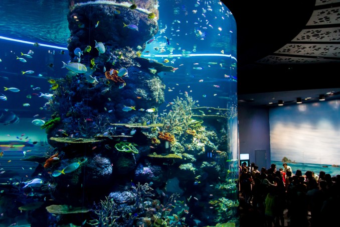 Sea Aquarium