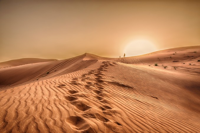 Sognare nel deserto