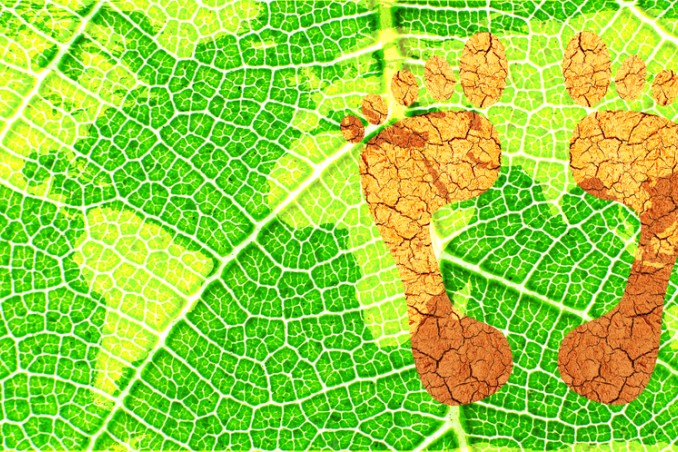 impronta ecologica cos’è, impronta ecologica come si calcola 