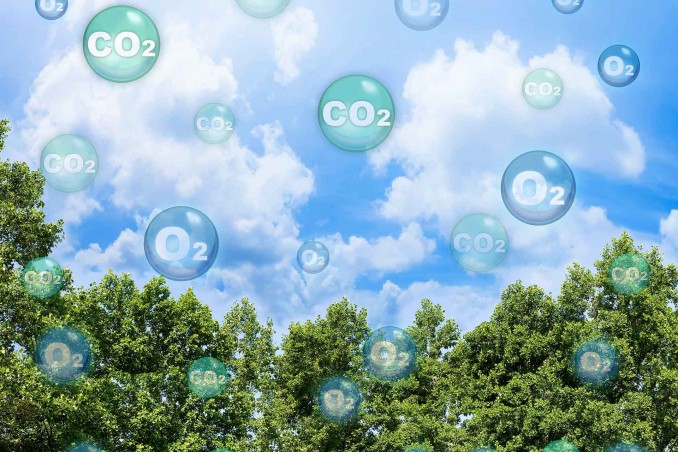 Aumento di CO2 nell'aria