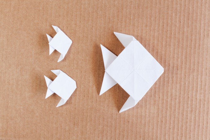 origami pesce tropicale