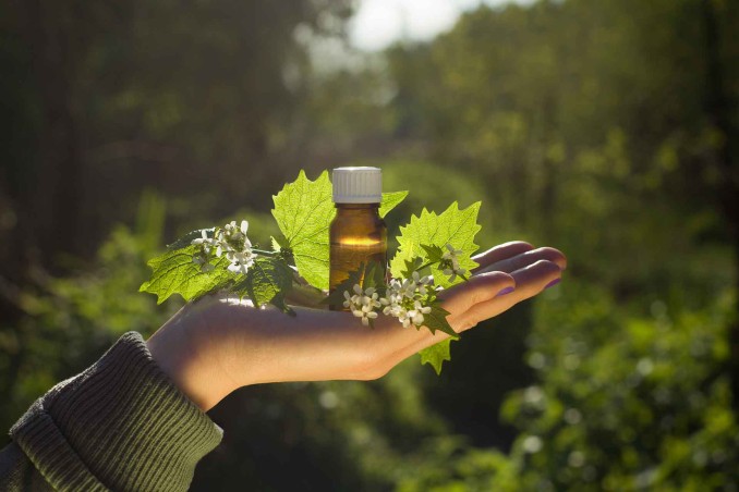 Come si diventa naturopata