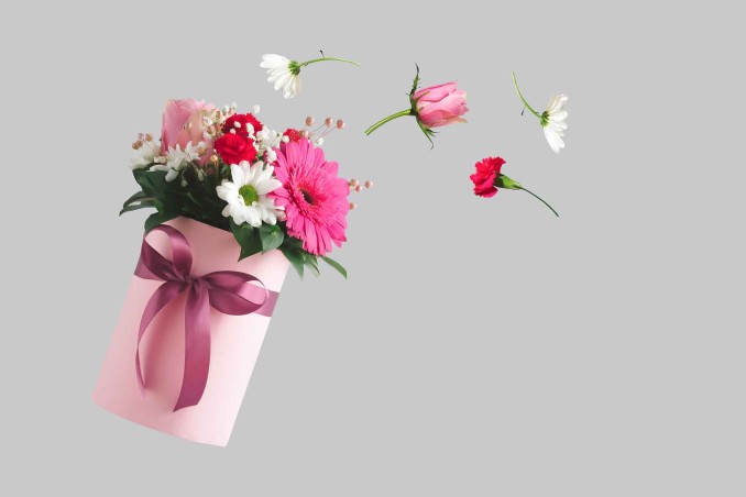 Pianta da regalare alla sposa