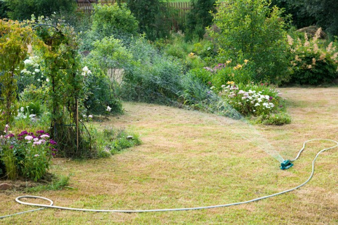 Come avere cura del giardino durante i giorni di siccità