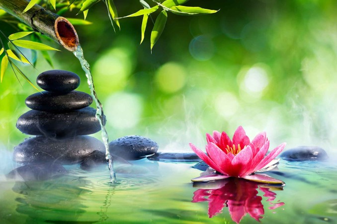 Giardino zen