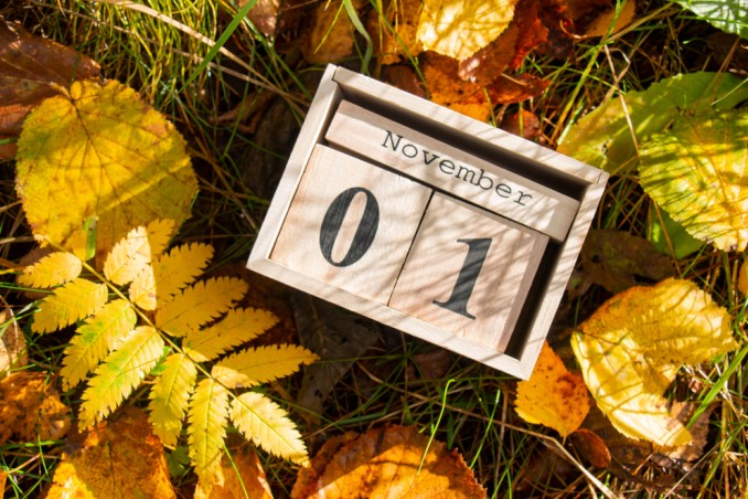 calendario novembre 2022 da stampare, calendario novembre 2022