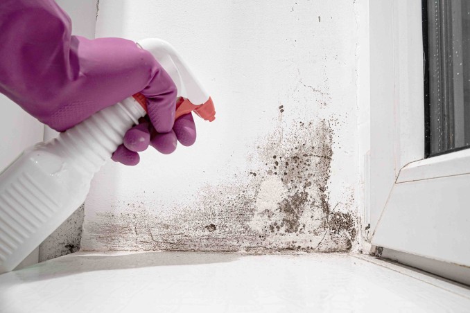 Muffa in casa