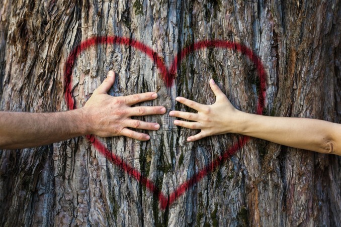 san valentino sostenibile, san valentino idee