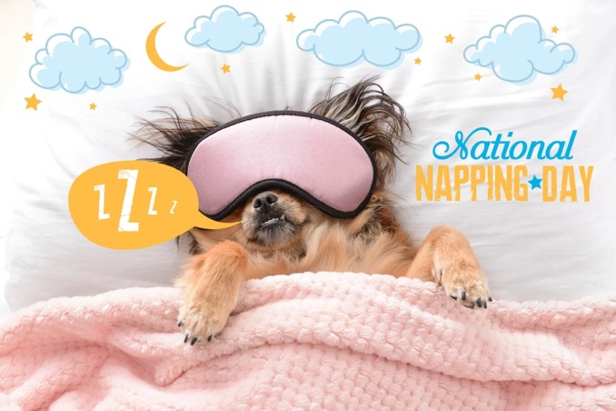 National Napping Day