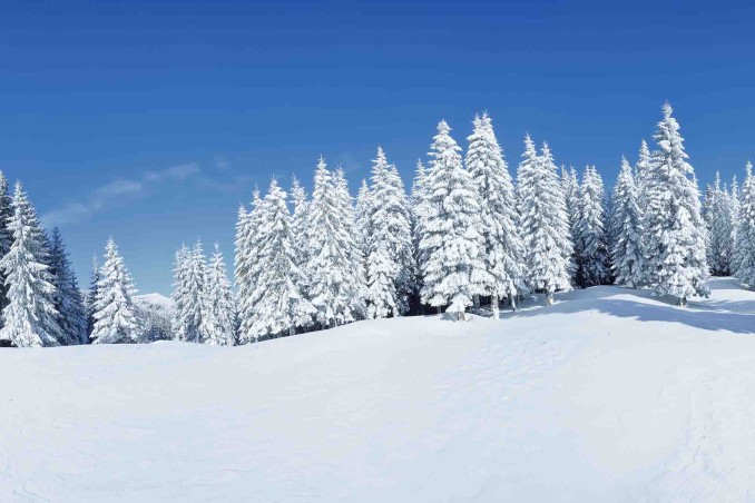 Sognare la neve bianca