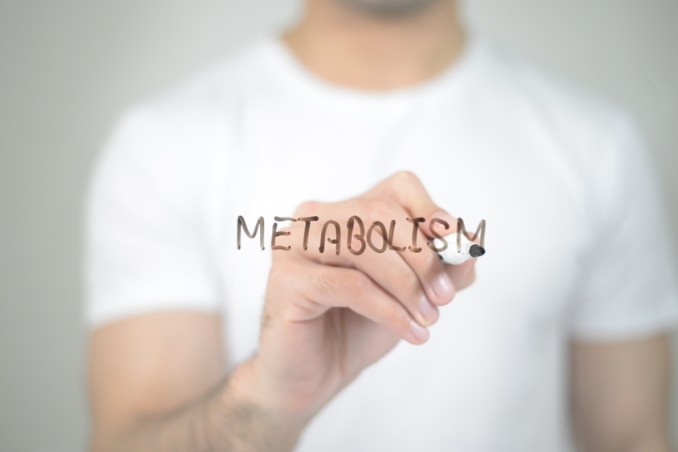 metabolismo