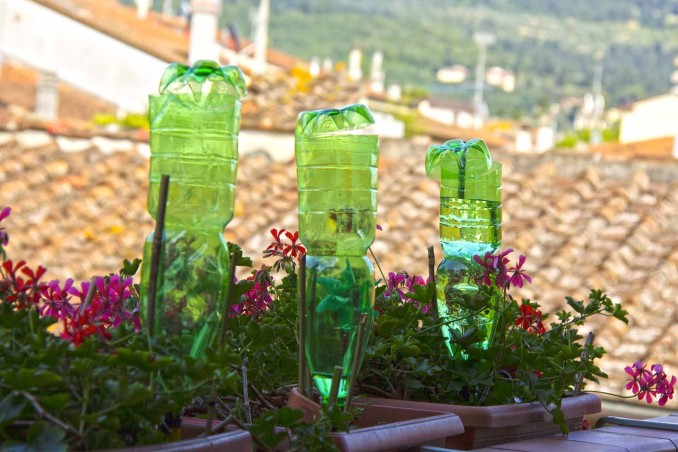 innaffiare le piante