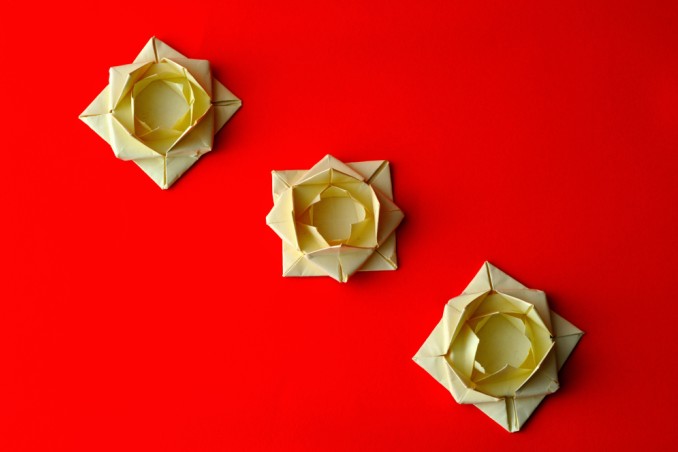 fiori origami facili