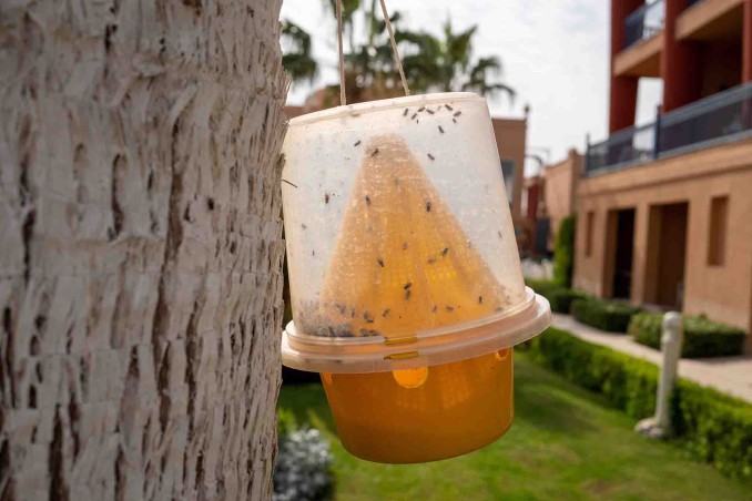 Trappole per zanzare fai da te