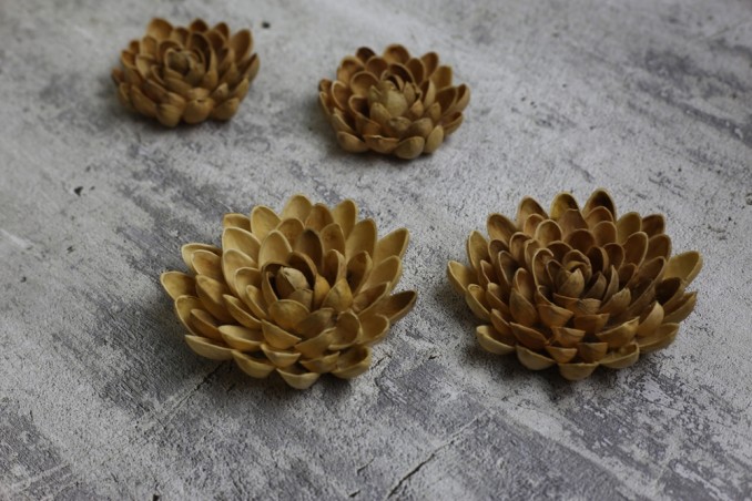 decori gusci pistacchio