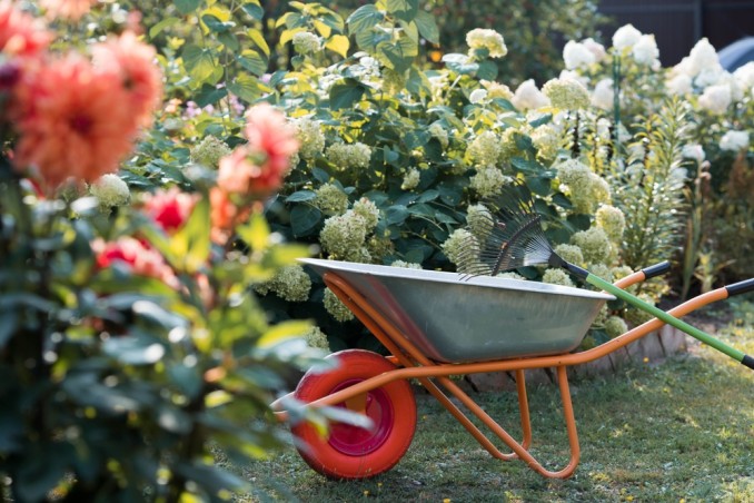 cosa fare nel giardino a settembre, lavori giardino settembre