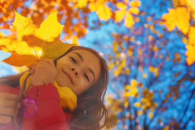 Aforismi sull'autunno