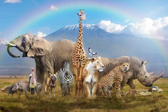 Giornata mondiale degli animali