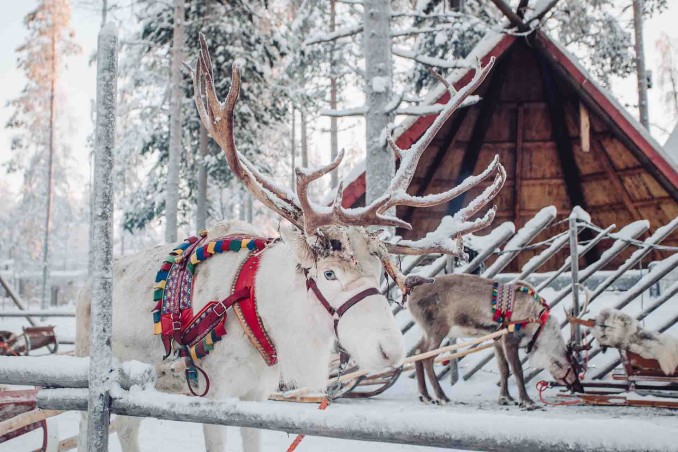casa di Babbo Natale a Rovaniemi