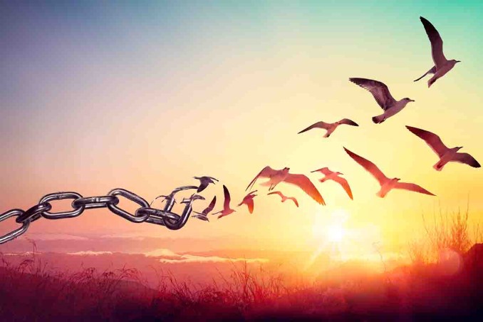 Frasi sulla libertà