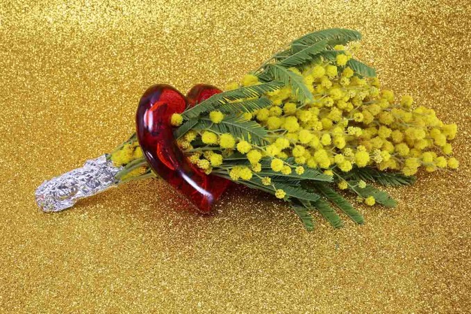 auguri per la Festa della donna