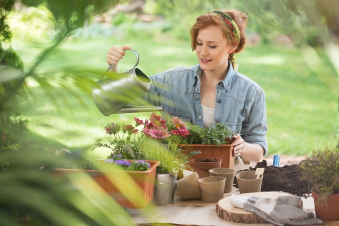 pollice verde consigli