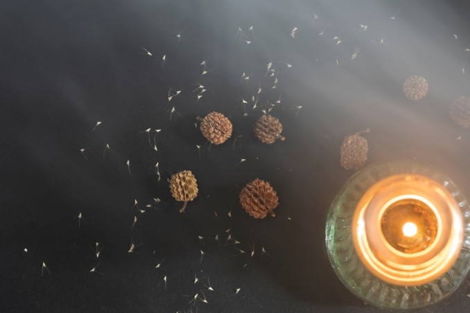 lanterne natale fai da te