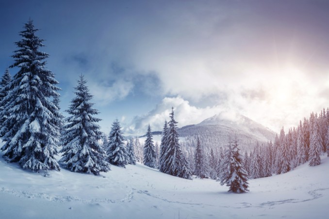 giornata mondiale neve frasi, giornata mondiale neve, frasi neve