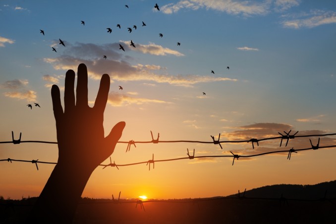 frasi shoah, frasi giorno della memoria