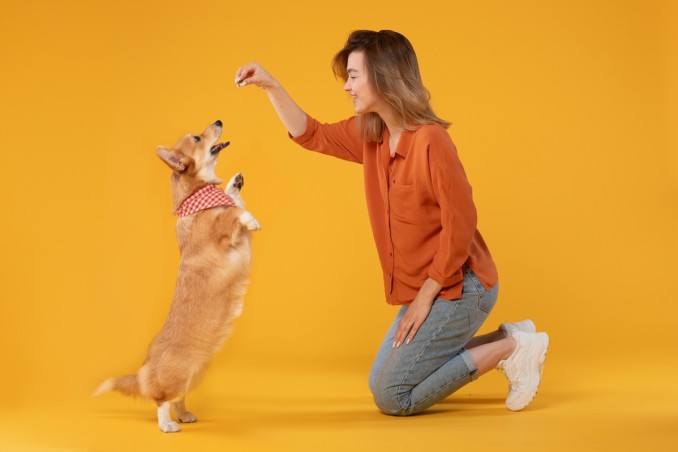 addestratore di cani