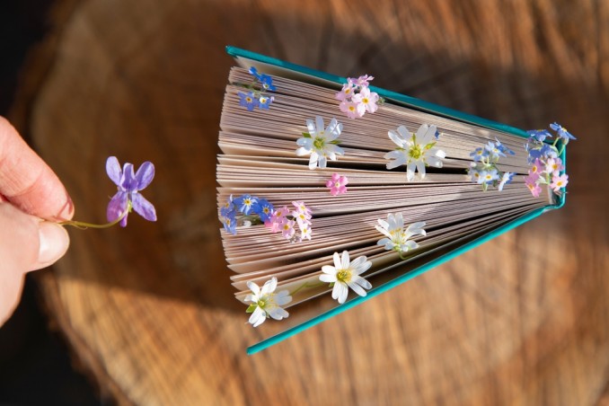 giornata mondiale poesia 2025, giornata mondiale poesia, giornata poesia 2025